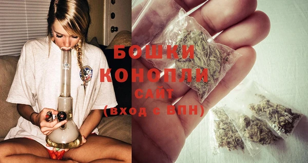 spice Аркадак