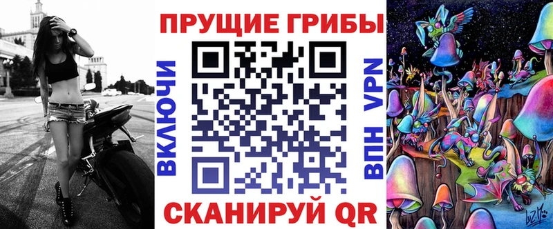 Галлюциногенные грибы Cubensis это телеграм Городец