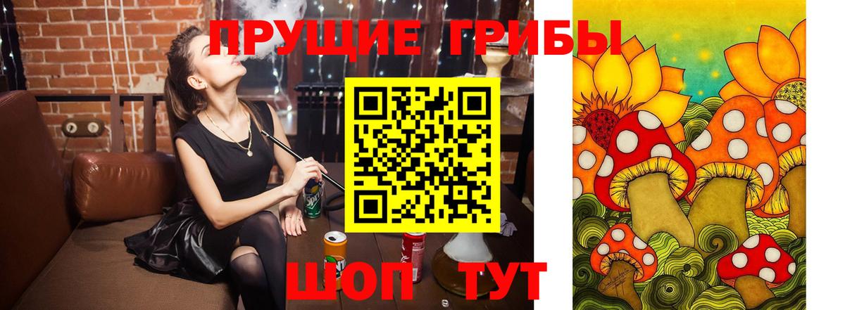 Галлюциногенные грибы Psilocybine cubensis Городец