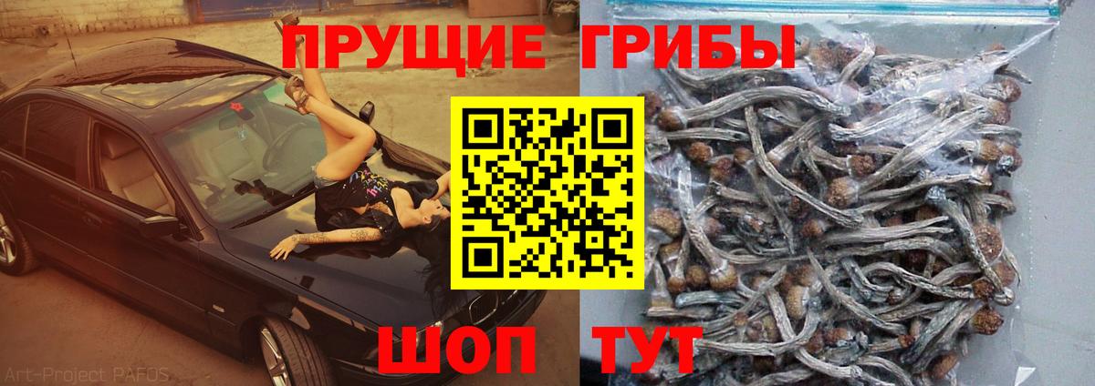 Галлюциногенные грибы MAGIC MUSHROOMS  Городец 