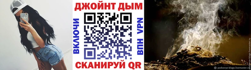 Каннабис планчик Городец